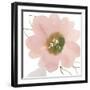 Sorbet Elegance-Sandra Jacobs-Framed Giclee Print