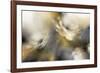 Sorbet Roses-J^P^ Prior-Framed Giclee Print