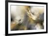 Sorbet Roses-J^P^ Prior-Framed Giclee Print