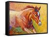 Sorrel Filly-Marion Rose-Framed Stretched Canvas