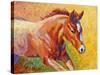 Sorrel Filly-Marion Rose-Stretched Canvas