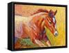 Sorrel Filly-Marion Rose-Framed Stretched Canvas