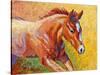 Sorrel Filly-Marion Rose-Stretched Canvas