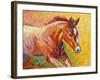 Sorrel Filly-Marion Rose-Framed Giclee Print