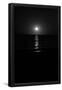 Essential Black