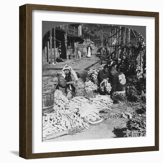 Sorting and Packing Daikon (Japanese Radishe) on the Waterfront, Atami, Japan, 1906-HC White-Framed Giclee Print