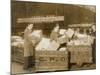 Sorting Post 1930S-null-Mounted Photographic Print