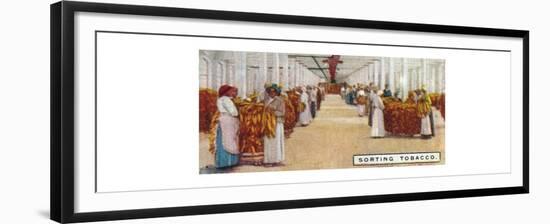 'Sorting Tobacco', 1926-Unknown-Framed Giclee Print