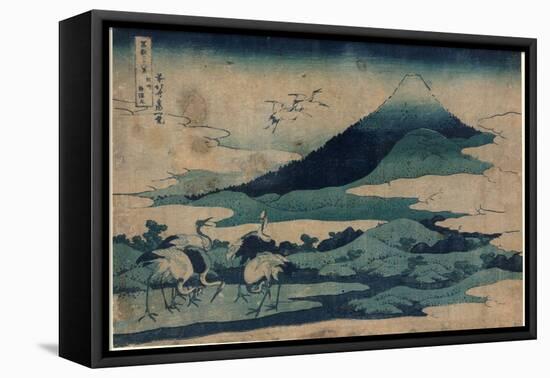 Soshu Umezawa Zai-Katsushika Hokusai-Framed Stretched Canvas