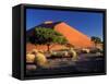 Sossosvlei Dunes, Namib-Naukluff Park, Namibia-Art Wolfe-Framed Stretched Canvas