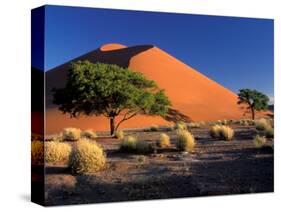 Sossosvlei Dunes, Namib-Naukluff Park, Namibia-Art Wolfe-Stretched Canvas