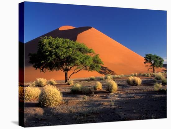 Sossosvlei Dunes, Namib-Naukluff Park, Namibia-Art Wolfe-Stretched Canvas