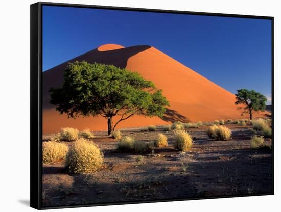 Sossosvlei Dunes, Namib-Naukluff Park, Namibia-Art Wolfe-Framed Stretched Canvas