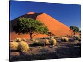 Sossosvlei Dunes, Namib-Naukluff Park, Namibia-Art Wolfe-Stretched Canvas