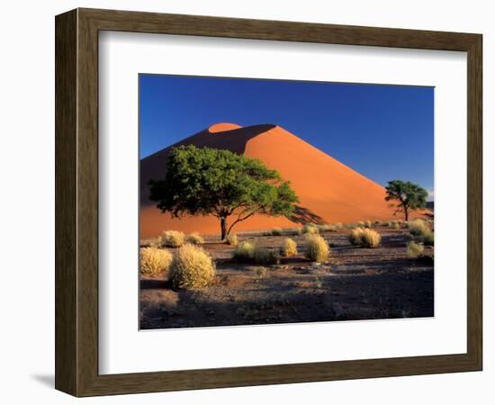 Sossosvlei Dunes, Namib-Naukluff Park, Namibia-Art Wolfe-Framed Photographic Print