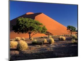 Sossosvlei Dunes, Namib-Naukluff Park, Namibia-Art Wolfe-Mounted Photographic Print