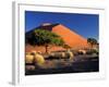 Sossosvlei Dunes, Namib-Naukluff Park, Namibia-Art Wolfe-Framed Photographic Print