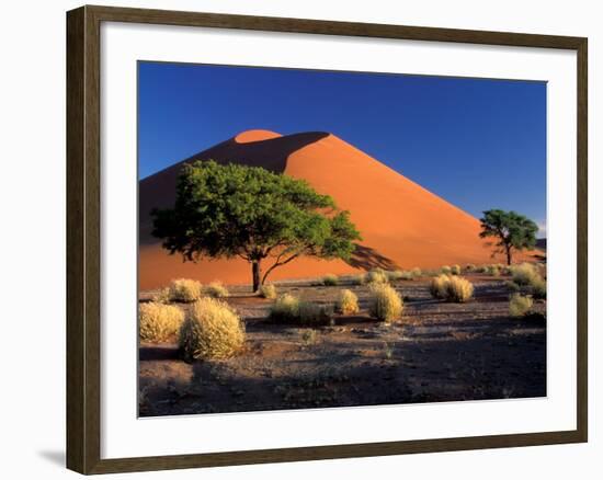 Sossosvlei Dunes, Namib-Naukluff Park, Namibia-Art Wolfe-Framed Photographic Print