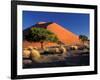 Sossosvlei Dunes, Namib-Naukluff Park, Namibia-Art Wolfe-Framed Photographic Print