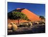 Sossosvlei Dunes, Namib-Naukluff Park, Namibia-Art Wolfe-Framed Photographic Print