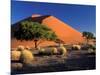 Sossosvlei Dunes, Namib-Naukluff Park, Namibia-Art Wolfe-Mounted Photographic Print