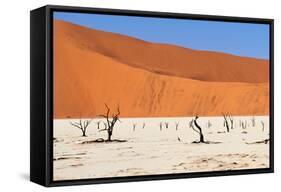 Sossusvlei Area in Namibia-Checco-Framed Stretched Canvas