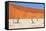 Sossusvlei Area in Namibia-Checco-Framed Stretched Canvas