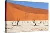 Sossusvlei Area in Namibia-Checco-Stretched Canvas