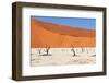 Sossusvlei Area in Namibia-Checco-Framed Photographic Print