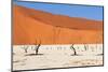 Sossusvlei Area in Namibia-Checco-Mounted Photographic Print