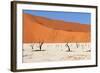 Sossusvlei Area in Namibia-Checco-Framed Photographic Print
