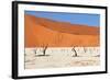 Sossusvlei Area in Namibia-Checco-Framed Photographic Print