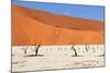 Sossusvlei Area in Namibia-Checco-Mounted Photographic Print