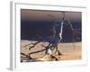 Sossusvlei Dead Camelthorn Tree in Dune-null-Framed Photographic Print