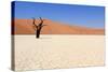 Sossusvlei Dead Valley Landscape in the Nanib Desert near Sesriem-Carlos Neto-Stretched Canvas