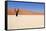 Sossusvlei Dead Valley Landscape in the Nanib Desert near Sesriem-Carlos Neto-Framed Stretched Canvas