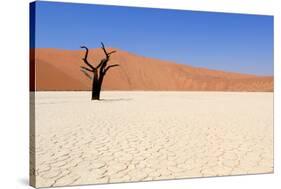 Sossusvlei Dead Valley Landscape in the Nanib Desert near Sesriem-Carlos Neto-Stretched Canvas