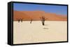 Sossusvlei Dead Valley Landscape in the Nanib Desert near Sesriem-Carlos Neto-Framed Stretched Canvas