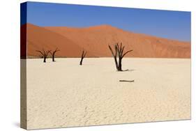 Sossusvlei Dead Valley Landscape in the Nanib Desert near Sesriem-Carlos Neto-Stretched Canvas