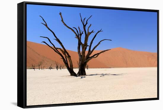 Sossusvlei Dead Valley Landscape in the Nanib Desert near Sesriem-Carlos Neto-Framed Stretched Canvas