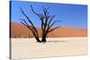 Sossusvlei Dead Valley Landscape in the Nanib Desert near Sesriem-Carlos Neto-Stretched Canvas