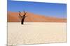 Sossusvlei Dead Valley Landscape in the Nanib Desert near Sesriem-Carlos Neto-Mounted Photographic Print