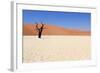 Sossusvlei Dead Valley Landscape in the Nanib Desert near Sesriem-Carlos Neto-Framed Photographic Print