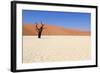 Sossusvlei Dead Valley Landscape in the Nanib Desert near Sesriem-Carlos Neto-Framed Photographic Print