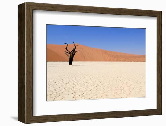 Sossusvlei Dead Valley Landscape in the Nanib Desert near Sesriem-Carlos Neto-Framed Photographic Print