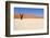 Sossusvlei Dead Valley Landscape in the Nanib Desert near Sesriem-Carlos Neto-Framed Photographic Print