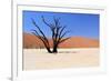 Sossusvlei Dead Valley Landscape in the Nanib Desert near Sesriem-Carlos Neto-Framed Photographic Print