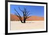 Sossusvlei Dead Valley Landscape in the Nanib Desert near Sesriem-Carlos Neto-Framed Photographic Print