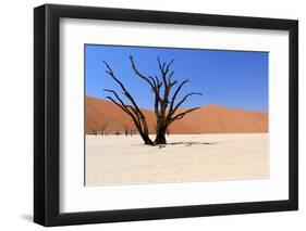 Sossusvlei Dead Valley Landscape in the Nanib Desert near Sesriem-Carlos Neto-Framed Photographic Print