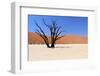 Sossusvlei Dead Valley Landscape in the Nanib Desert near Sesriem-Carlos Neto-Framed Photographic Print